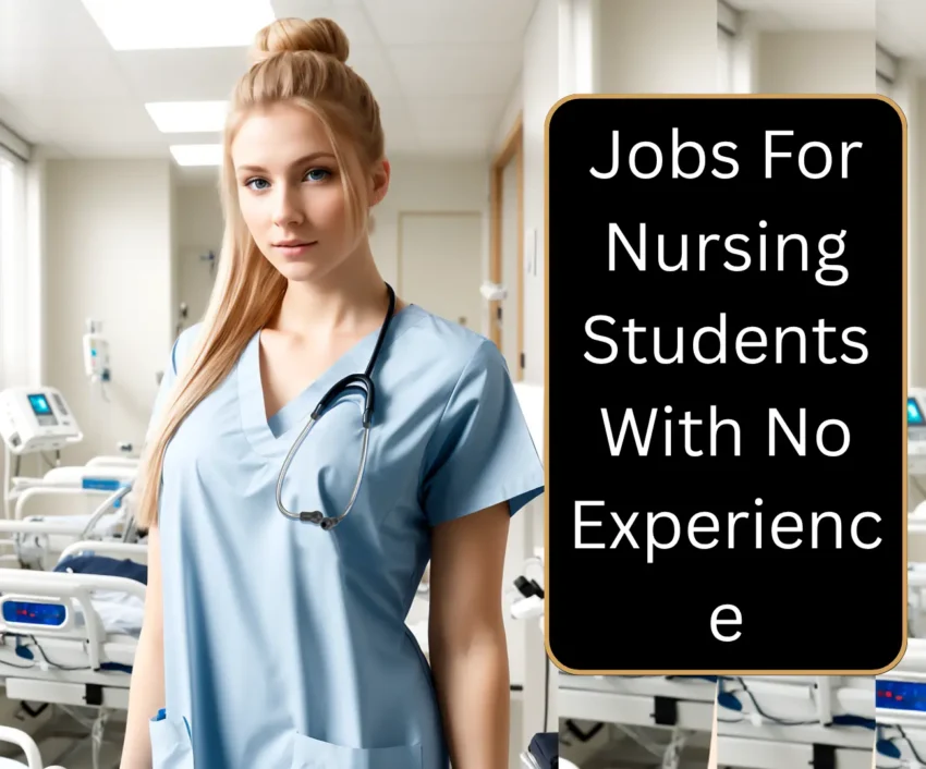 Jobs For Nursing Students With No Experience, Part-Time Jobs For Nursing Students While In School, Hospital Jobs For Nursing Students With No Experience, Summer Jobs For Nursing Students With No Experience, Why Nursing Students Struggle To Find Jobs Without Experience,